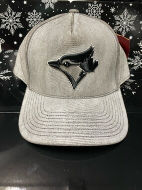 Mitchell & Ness Gray and Black Pro-Pinch Fit Baseball Cap